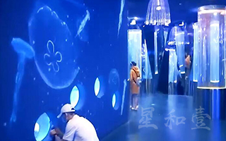 天津国家海洋博物馆 - 水母厅