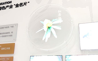 浙江台州知识产权服务中心 - 地理标志原产地