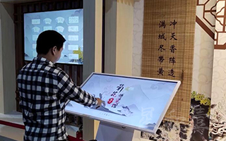 江苏南京湖熟菊花博览馆