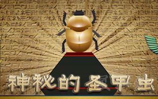 江苏苏州塔高海洋萌宠馆 - 神秘的圣甲虫